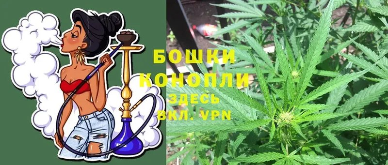 Шишки марихуана OG Kush  Бежецк 